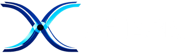 Chiasm Logo